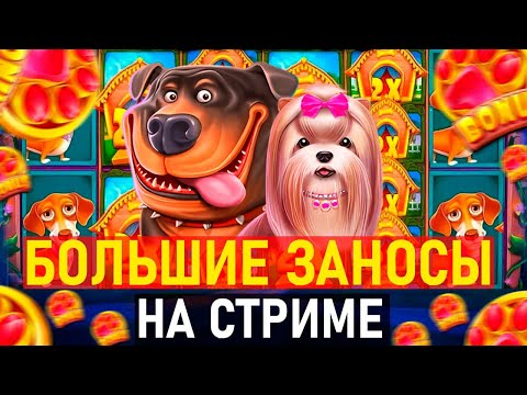 Вход в онлайн казино: как начать играть в азартные игры?