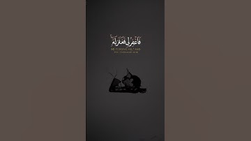 سوره القصص | #عبدالباسط_عبدالصمد #قران_كريم #quran