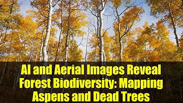 AI and Aerial Images Reveal Forest Biodiversity: Mapping Aspens and Dead Trees