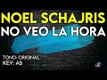 Noel Schajris - No Veo La Hora - Karaoke Instrumental