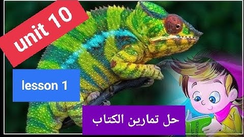 كونكت4/الترم الثاني/الوحده العاشره/الدرس الاول connect 4 unit 10 lesson 1   #الدرس في بيتك