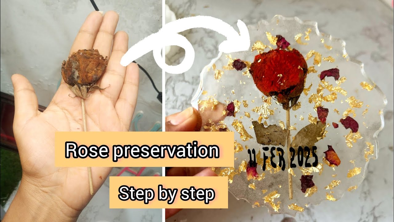 How to Preserve Rose in Resin | Flower preservation step by step | How ...