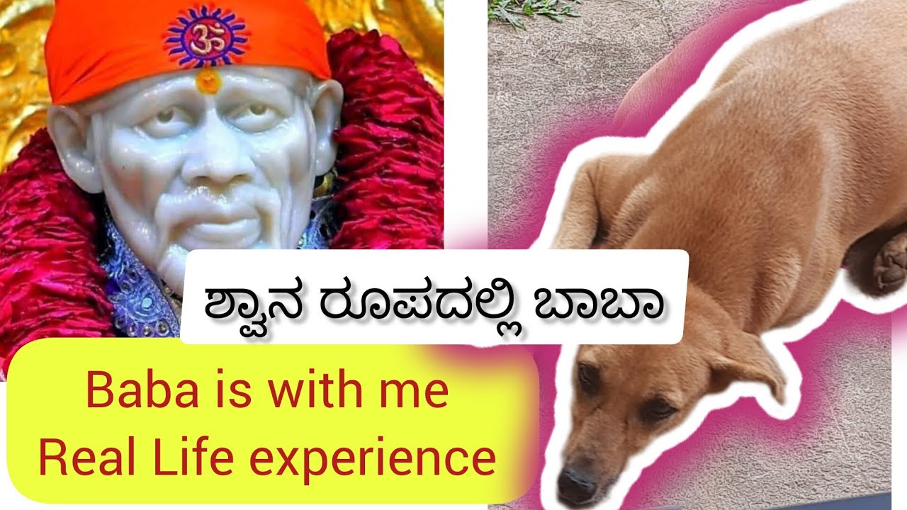 Baba is with me |Real Life experience| ಬಾಬಾ ನನ್ನ ಜೊತೆ ಇದ್ದಾರೆ #baba #shirdi #sai