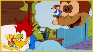 Woody Woodpecker Show | Meany Side of The Street | 1 Hour Compilation | Cartoons For Children