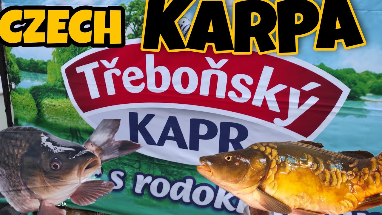 CARP | TRADITIONAL CZECH DISH ON CHRISTMAS EVE / Arnelo Abante Official