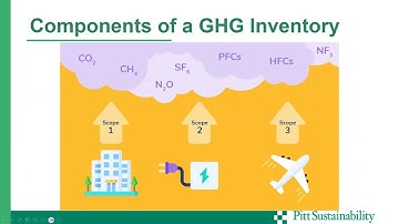 The What Why & How of Pitt