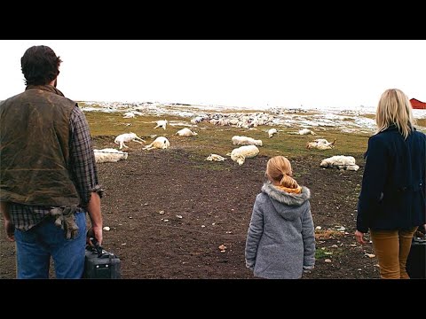 Video: Zīlēšana Ivanam Kupalam par saderinātajiem mājās