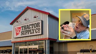 Did Hatch Mate Chicks Hatch | Didn’t Expect This From Tractor Supply |