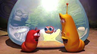 Aquarium Larva Episode 12, Cartoon Video And Animated Show For Kids