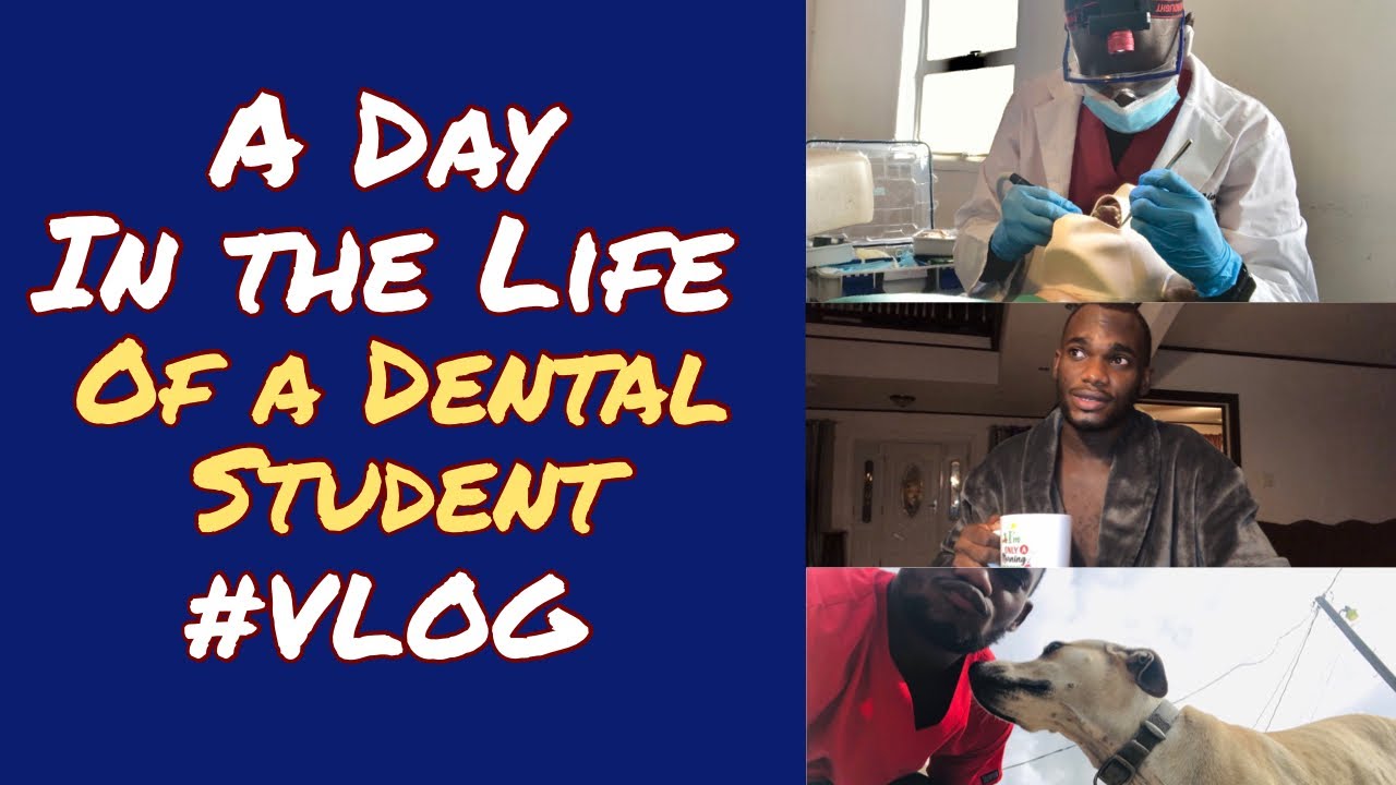 Day in the Life of a Dental Student | Labs | Study| Gym and more ...