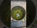 Crazy Vegetable Cutting Machine for Animal Feed 😱🥬 | Smart Farming Hack! 🚜#Shorts #FarmingHack