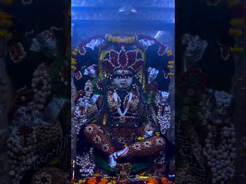 🫐फलों से हुआ गज लक्ष्मी का दिव्य श्रृंगार 🙏🌺 आज के दर्शन बेहद शुभ | Gaj Lakshmi Darshan ❤️🐘 #shorts