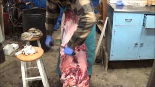 Professional Fur Handling, Beaver - Part 2 Fleshing