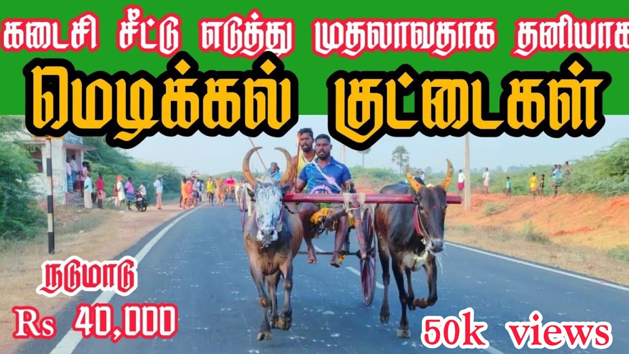 1 தூத்துக்குடி மாவட்டம் மேல்மாந்தை பந்தயம்