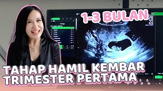 Tahap Hamil Kembar Trimester Pertama Bulan 1-3