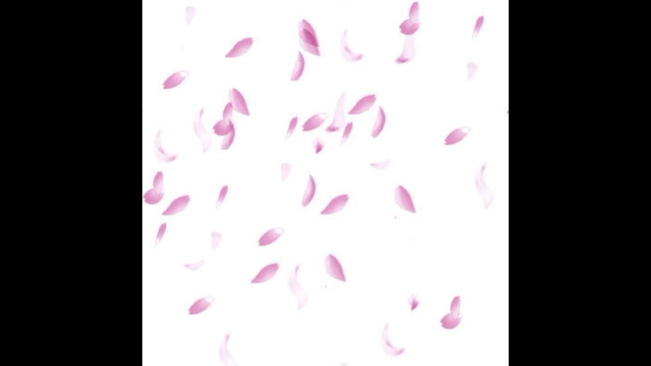 cca Fabian Measures - Hanami