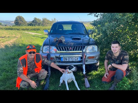 ნადირობა ENGLISH POINTER ხოხობი კაკაბი. Baikal mp43E