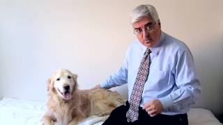 Dr. Victor Dolan Explains How To Keep Your Dog Healthy
