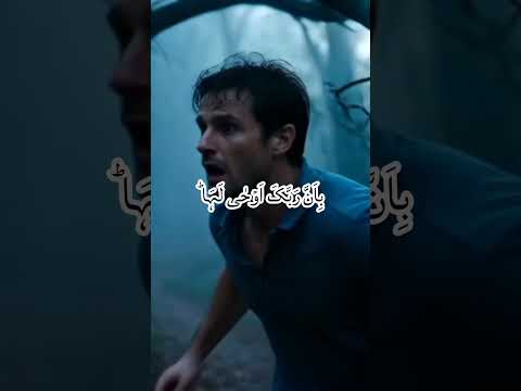 اليوم الذى تتزلزل في الارض سورة الزلزلة سعذ الغامدي كلام يؤثر سورة الزلزلة تلاوة خاشعة 