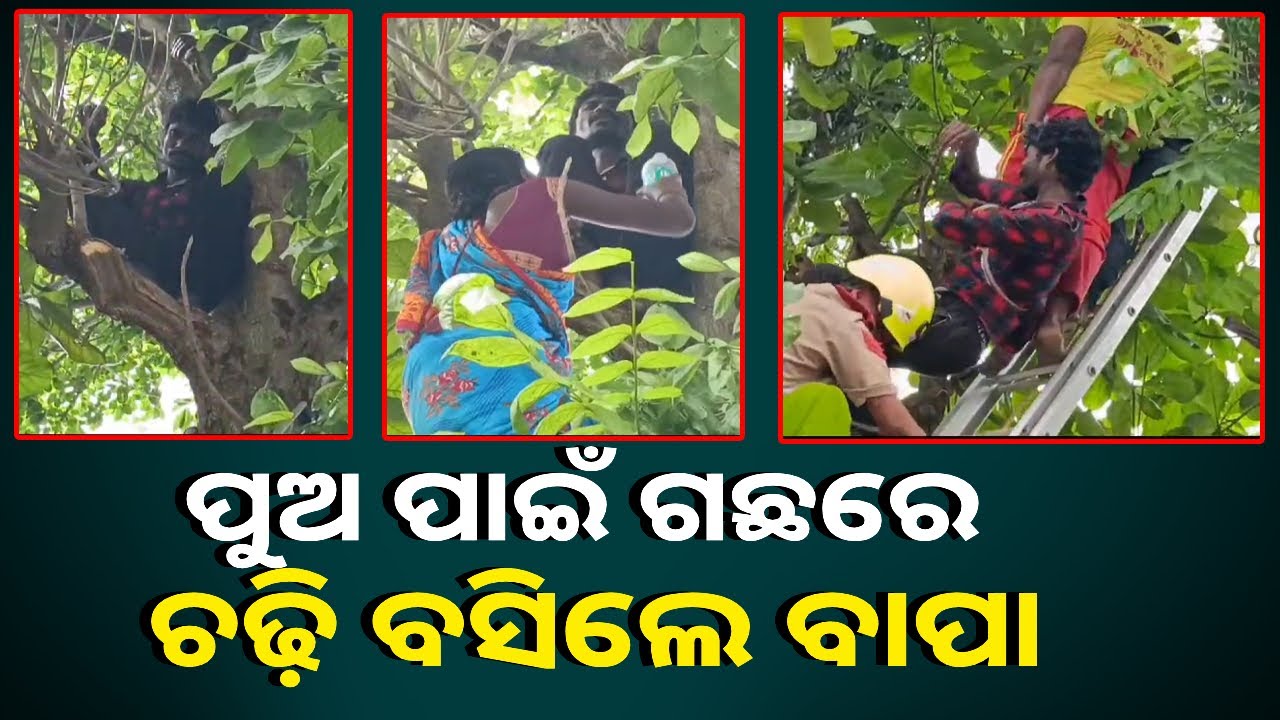 ବ୍ରହ୍ମପୁର ବଡ଼ ମେଡିକାଲରେ ଥିବା ଏକ ଗଛ ଉପରୁ କାହିଁକି ଓହ୍ଲାଇଲେ ନାହିଁ ବାପା