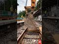 Abandoned Mountain Train Station Restored Into a Luxury Sky Resort #usa #diy #shorts #ai #station