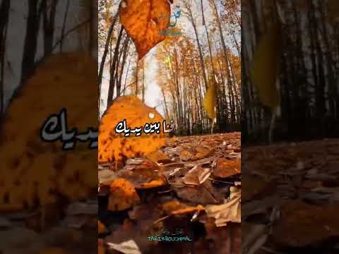 اللهم اغننا بالعلم وزينا بالحلم واكرمنا بالتقوى وجملنا بالعافية اترك اثرا طيبا بذكر الله