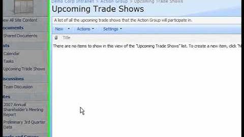 SharePoint Shepherd 2007 - Create A New List Item