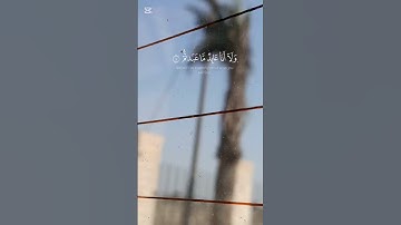 القران الكريم سورة الكافرون #المصحف #اكسبلور