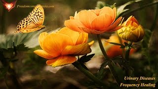 Dermatitis/Eczema Frequency Healing - Frequencies For Clear And Healthy Skin