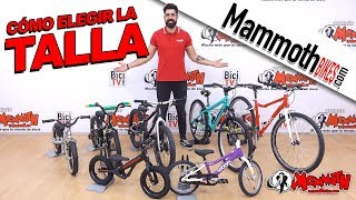 Arriba Rayo Bandido Cómo elegir la talla de una bici de niño - YouTube