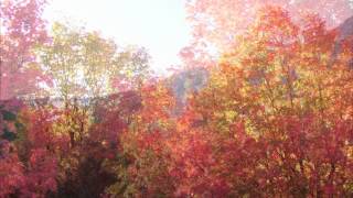 Relaxing Instrumental Guitar Music Autumn Leaves Sweet Dreams chords