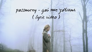 passmurny - Дай мне забыть (Lyric Video)