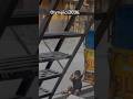 Olympics2036. Arpit.Singroha fall doing technique. #funny #comedy #short #reels #sports
