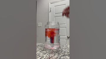 Water Volcano Experiment #toddleractivities #kidfriendly #scienceexperiments