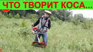 Эта Бензокоса заменит Stihl ?! Мотокоса Vitals Bk 4123s Покос травы триммером