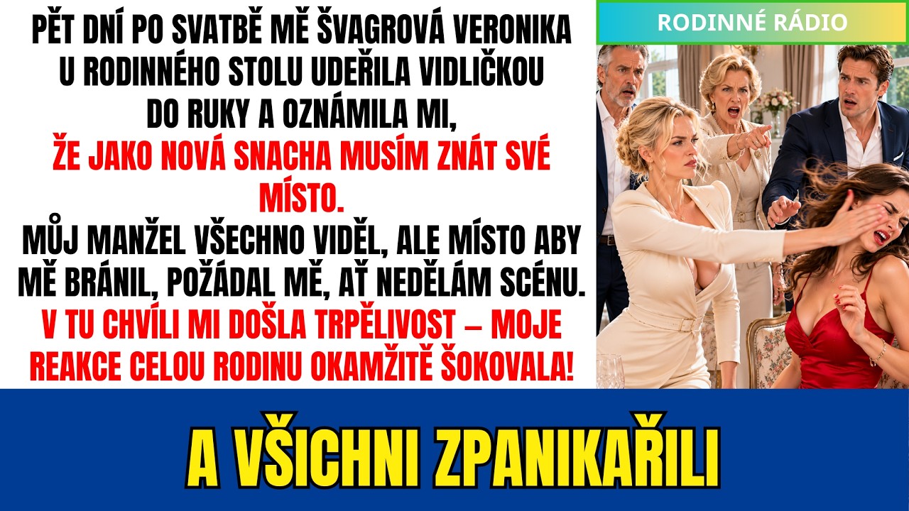 Pátý den po svatbě mě u nedělního obědu u rodičů mého manžela uhodila jeho sestra vidličkou přes ruku. Druhý den mi tchyně v hlasové zprávě oznámila, že jí mám posílat svoji výplatu, protože mladí...