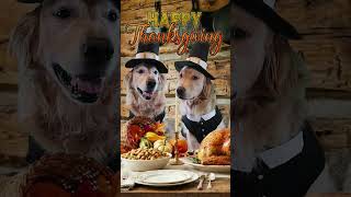 U Can Beat Video Games - Happy Thanksgiving from Kylo & Mance
