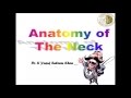 Anatomy || NECK || Complete || Dr. Yusuf ||