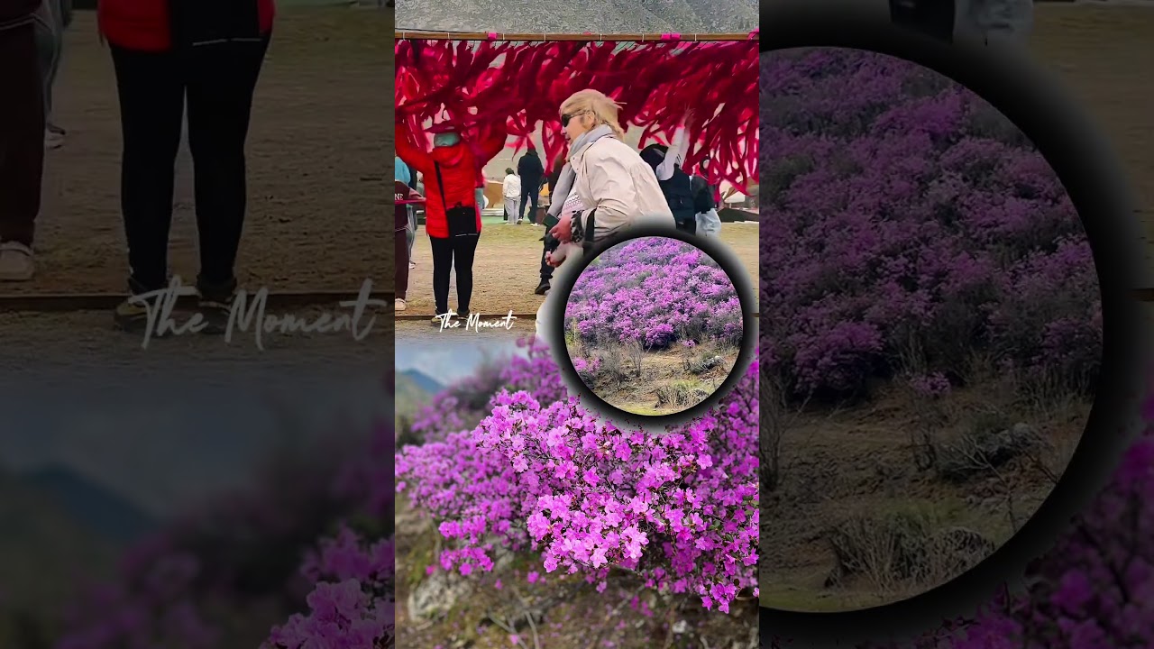 Горный Алтай 