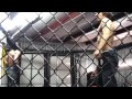 Paul Thomas Jiu Jitsu -  Brazilian Jiu Jitsu vs. Dojo Stormer