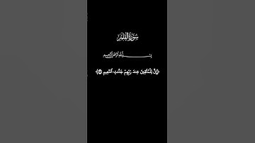 سورة القلم _ آية (٣٢ ~ ٣٩) _ القارئ ماهر المعيقلي #القرآن_الكريم #ماهر_المعيقلي #سورة_القلم #quran