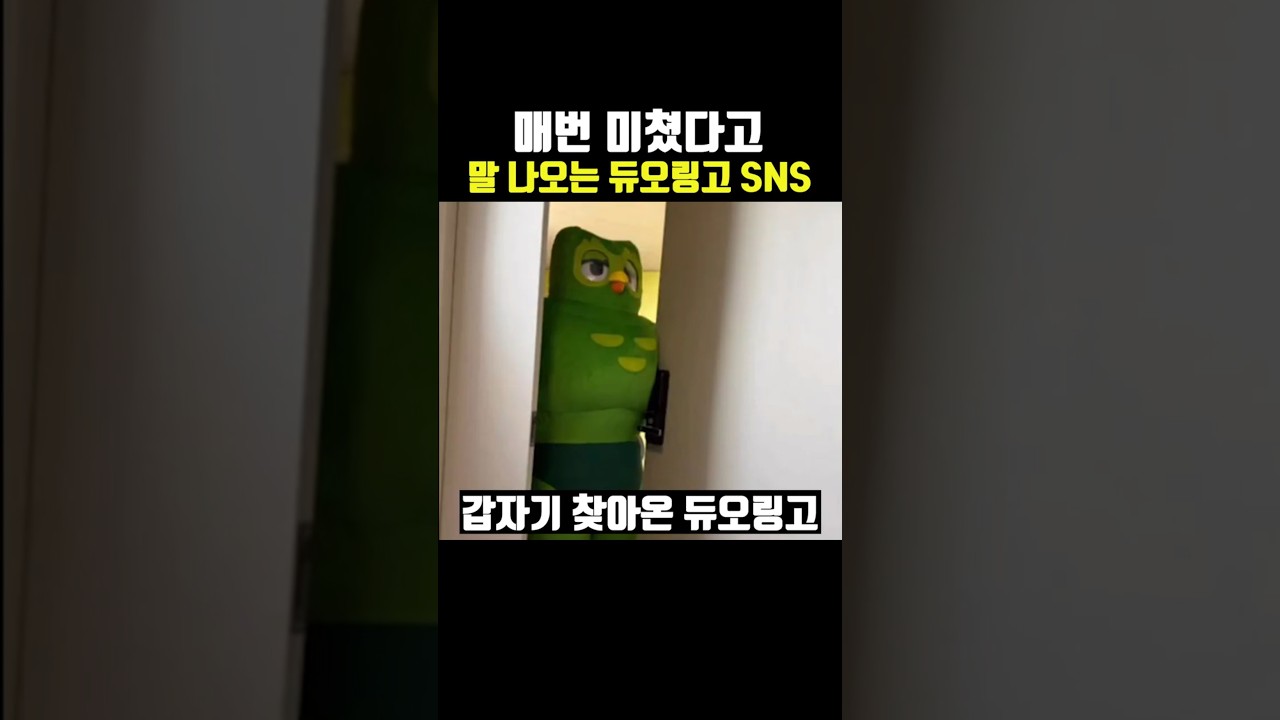 매번 미쳤다고 말 나오는 듀오링고 SNS