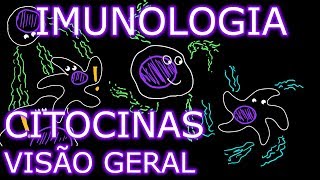 Aula: Imunologia - Citocinas (1/3) - Visão Geral | Imunologia #9