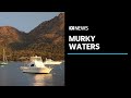One of Tasmania's most popular tourist attractions is struggling with a sewage problem | ABC News