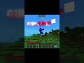 GIRLS PET 🐶 VS BOYS PET 🗿#minecraft #lokicraft #viralvideo #shortvideo