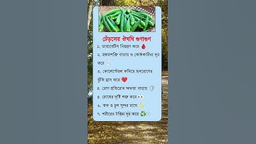 general knowledge || quiz | spinal cord I part-1410