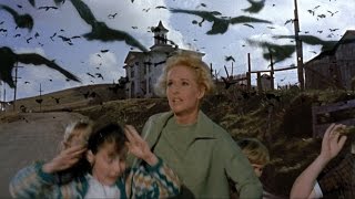 The Onion Looks Back At ‘The Birds’