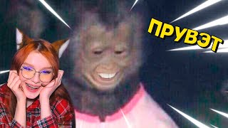 видео: ЗАСМЕЯЛСЯ - ПРОИГРАЛ!ЛУЧШИЕ ПРИКОЛЫ I 623 СЕКУНД СМЕХА I ТЕСТ НА ПСИХИКУ БАЛТИМОР картинка: ЗАСМЕЯЛСЯ - ПРОИГРАЛ!ЛУЧШИЕ ПРИКОЛЫ I 623 СЕКУНД СМЕХА I ТЕСТ НА ПСИХИКУ БАЛТИМОР