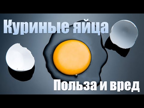 Куриные яйца | польза или вред для организма