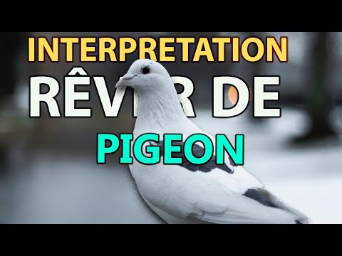 RÊVER DE PIGEON